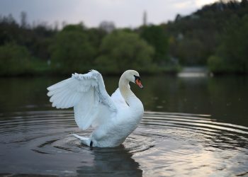 Indulge in Opulence: A Guide to Luxury Travel Experiences