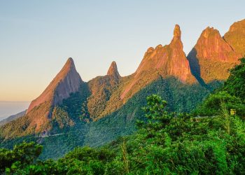 Unforeseen Obstacles: Navigating Unexpected Travel Hurdles with Grace